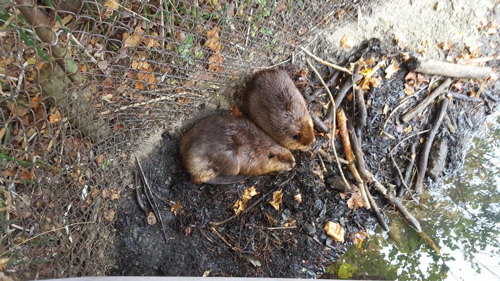 Kim Cullipher tweet media