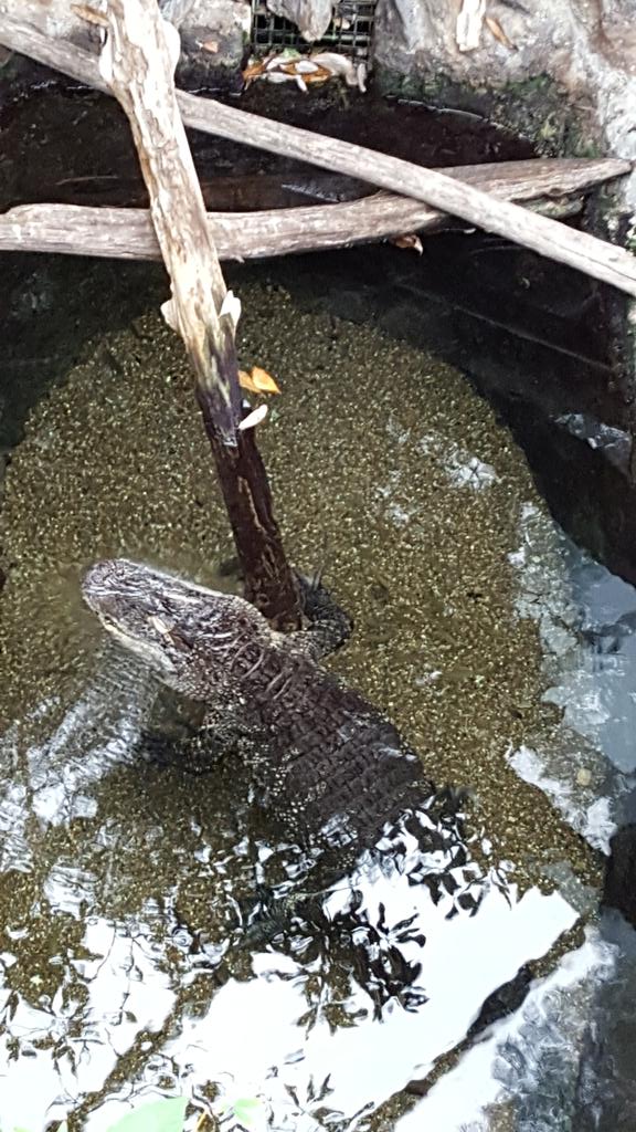 Kim Cullipher tweet media