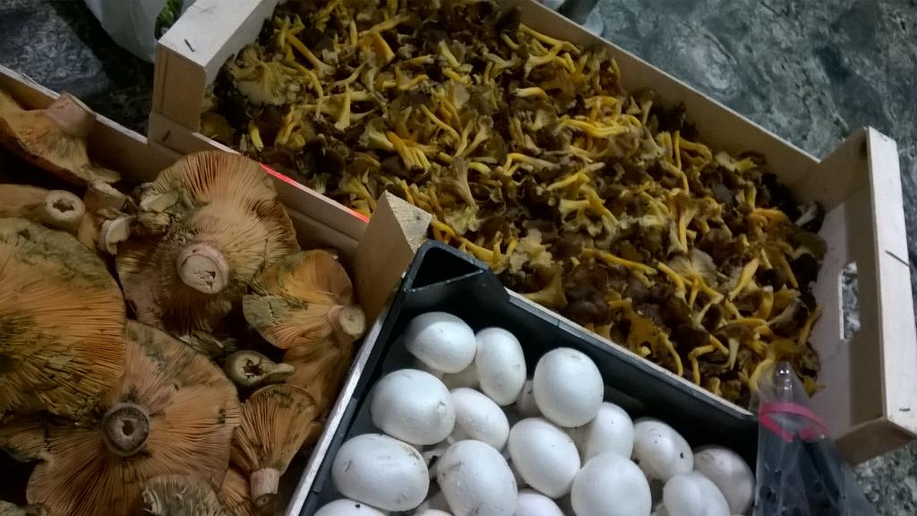 Vamossss!! A tope!!! #micología #Sequieta #jornadas #otoño