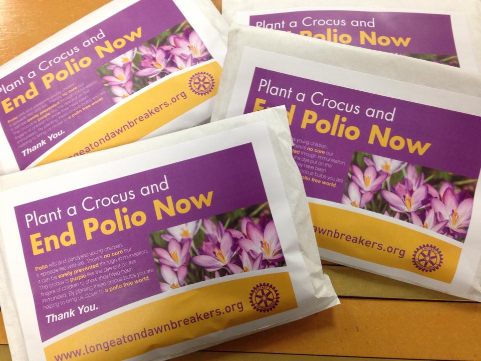 Packs of crocus bulbs for minimum donation of £1. All proceeds go to End Polio Now. Reply to this tweet to order.