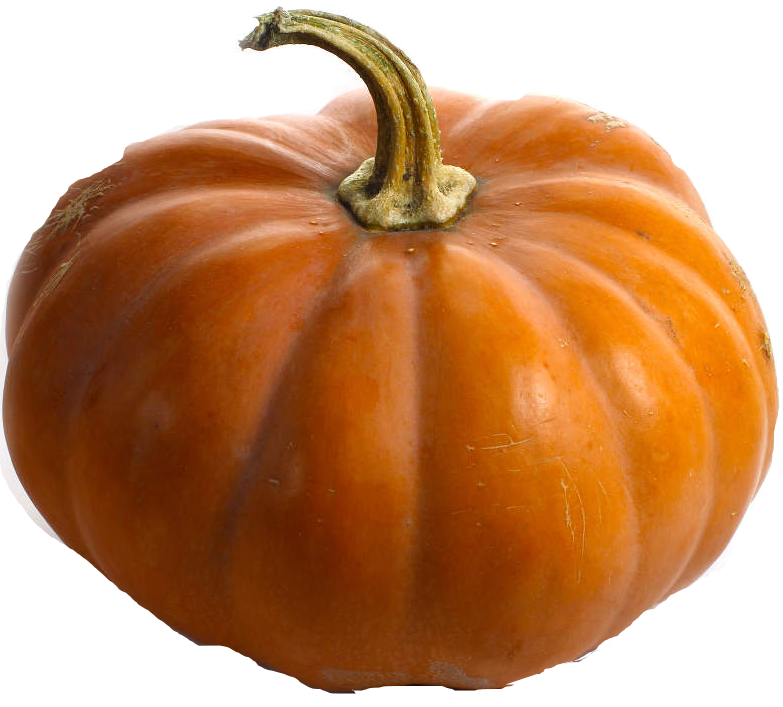 CavalandParc's tweet photo. Spécial #Halloween samedi 24 #octobre à 15h. #spectacle en famille inoubliable: Opérette &amp; Voltaire! http://t.co/JtiWFsBZau