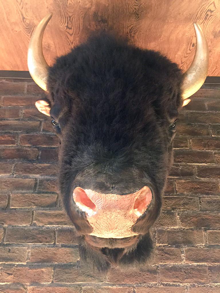 jkgrowls's tweet photo. Sexy lunch @OXBOBankside - not much chat coming from my dining companion though... http://t.co/bx8rwCp2el