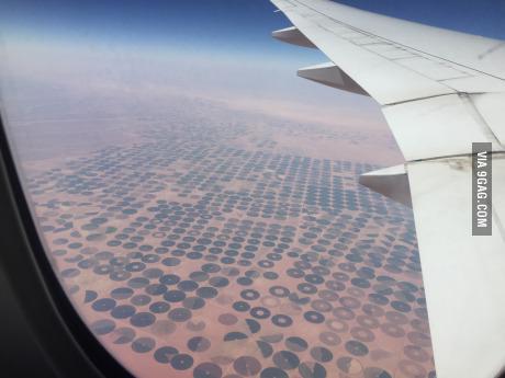 aashish_kodi's tweet photo. Yup... This IS a desert... http://t.co/3ZKvOpsNMk