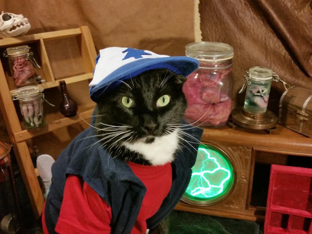 Whisker Pines from the good people at <a href="/Cat_Cosplay/">Cat Cosplay</a> #MeowsteryShack