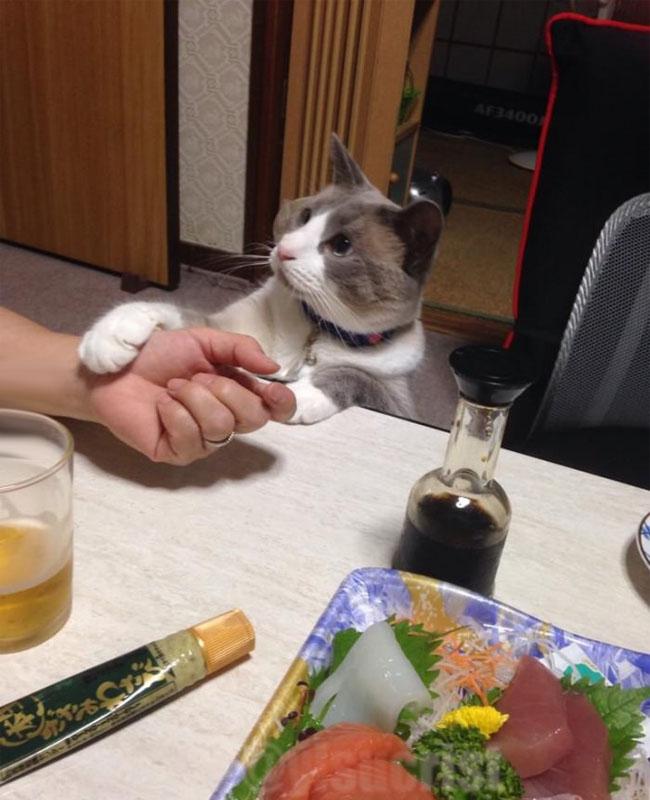 EH BRO, NO TE RAYES X ESA TÍA, A MÍ SIEMPRE ME VAS A TENER