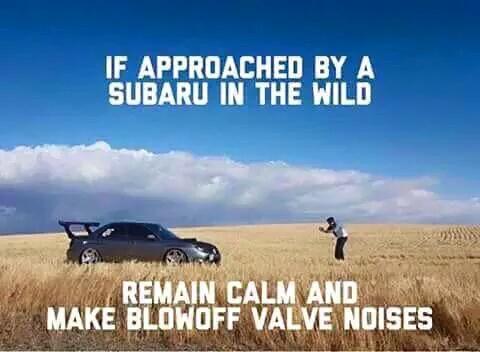 backdoorhiphopx's tweet image. LMFAO 😅 😂 😂