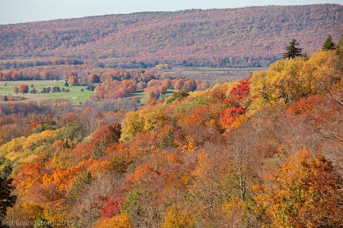 Fall color near peak this weekend in nearby mountains, Skyline Drive: wapo.st/1OzeF0g (img <a href="/islivingston/">Ian Livingston</a>)