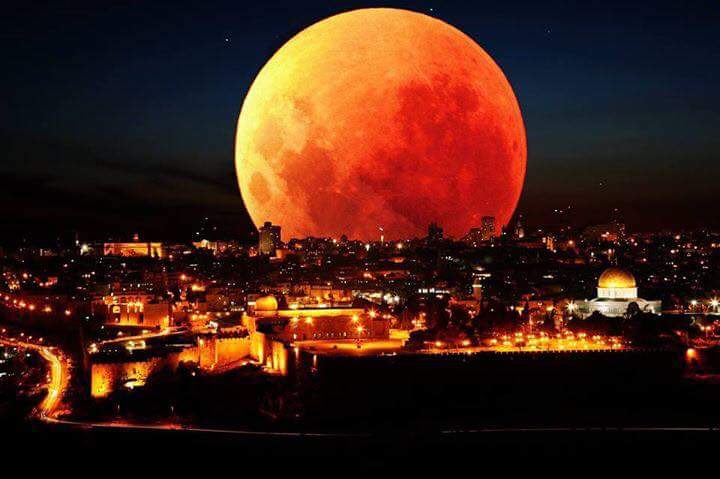 A1Garad's tweet photo. 💓
#القدس_عربيه http://t.co/GCzhnchmjj