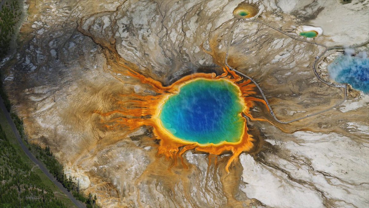 NatureCastApp's tweet image. Wow have you watched the video that this scene is from?