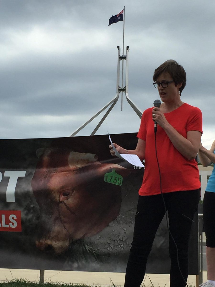 RSPCA's tweet photo. Dr Bidda Jones of @RSPCA calling for #MeatNotLive at #ACT #EndLiveExport #Rally http://t.co/PIwESikuyv