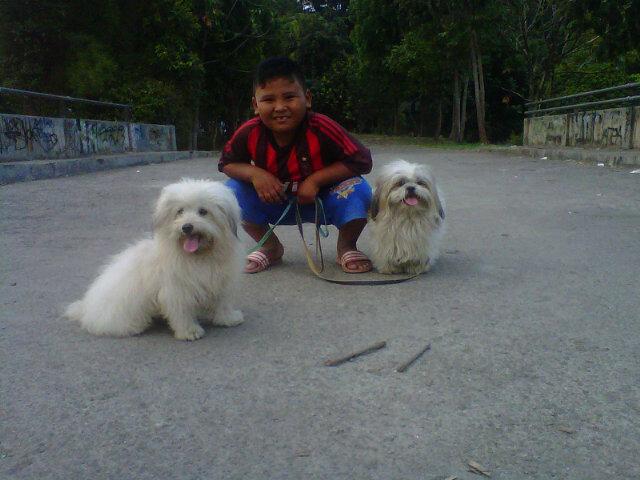 ery_manuel's tweet photo. @JoiceSurya http://t.co/rfhUTAO7tW