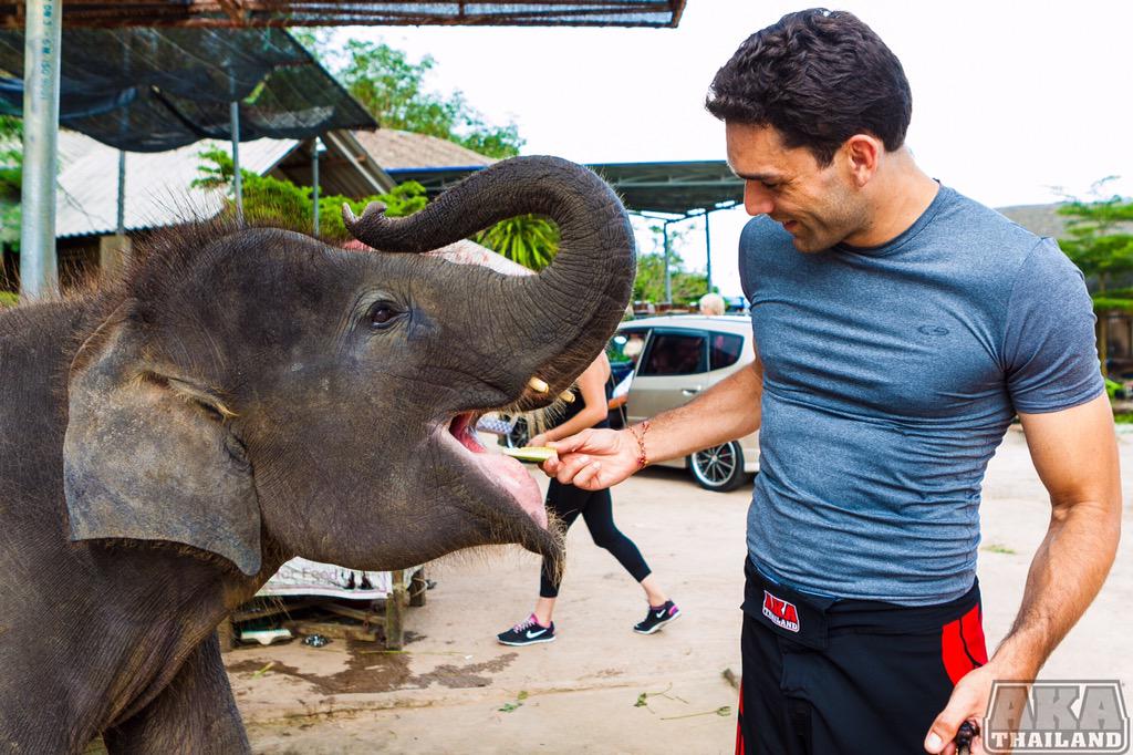 AKAThailand's tweet photo. Perks of training at #AKAThailand. Hanging out with Baby #Elephants 🐘 #Phuket #Thailand http://t.co/N00f7u2WpL