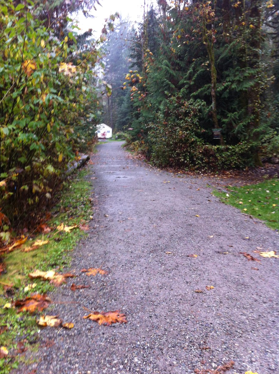 caitgordon39's tweet photo. One week later, aaaand?...
Still campsick. #clapout #beavercall #campsummit #miniemily #campfireswelovecampfires 🌄🗻 http://t.co/U2nzXF5Hzj