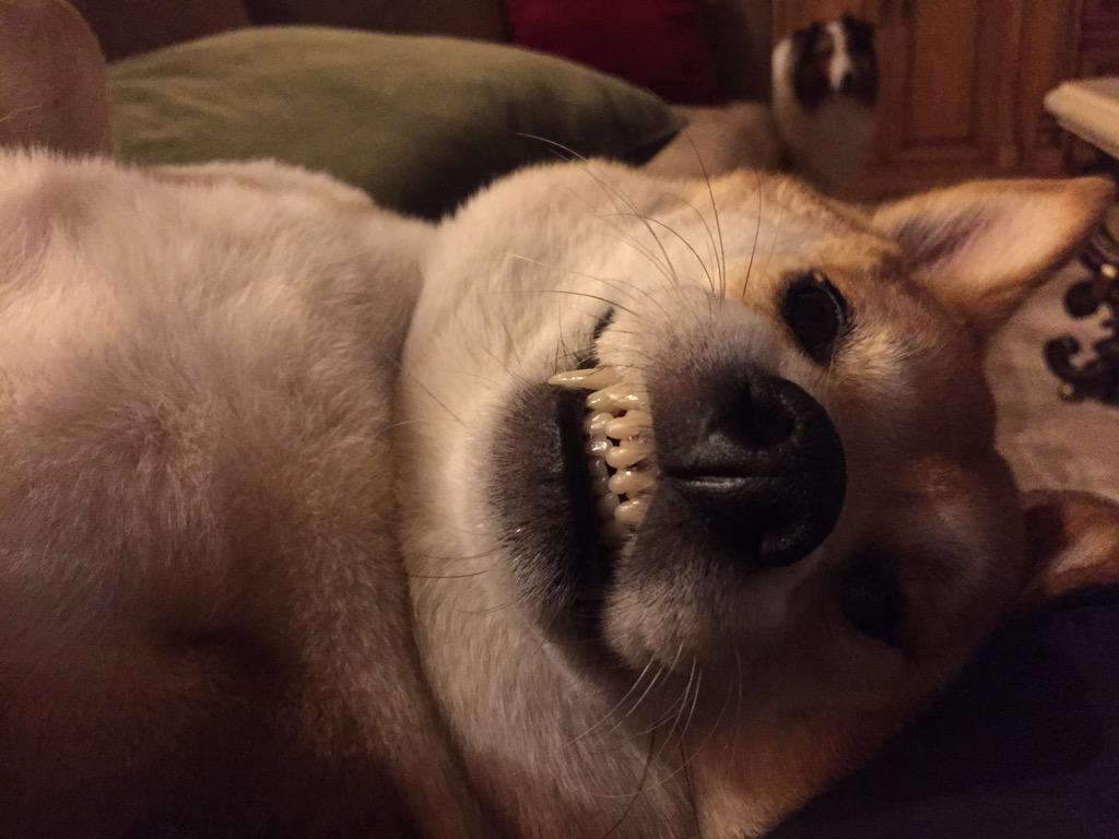 Happy #FriYay! #selfie #photobomb
