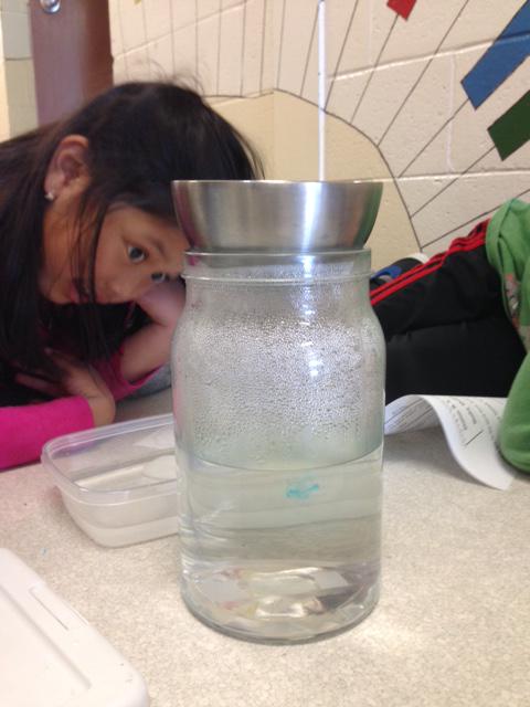 CCSD_HolyName's tweet photo. Grade 2 are exploring liquids with Mme #Puddlehopper http://t.co/nqDkuiLDNh