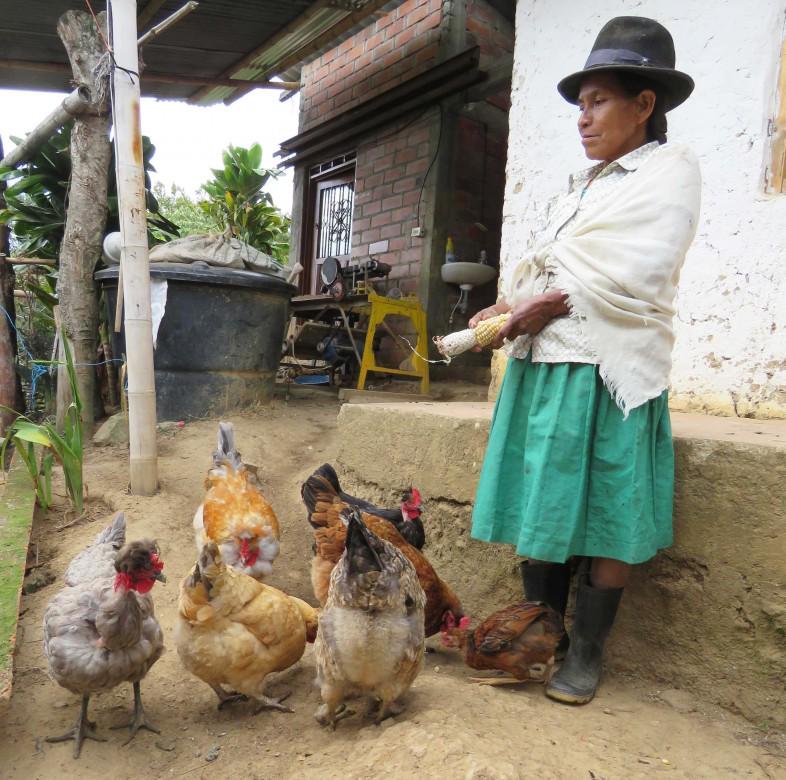 CICR_es's tweet photo. #Colombia: con huertas ancestrales indígenas afrontan guerra http://t.co/0E2JuqIFNt #DíaMundialAlimentación #WDF2015 http://t.co/qF5oNuZJQ7