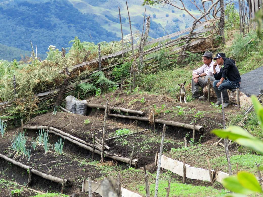 CICR_es's tweet photo. #Colombia: con huertas ancestrales indígenas afrontan guerra http://t.co/0E2JuqIFNt #DíaMundialAlimentación #WDF2015 http://t.co/qF5oNuZJQ7
