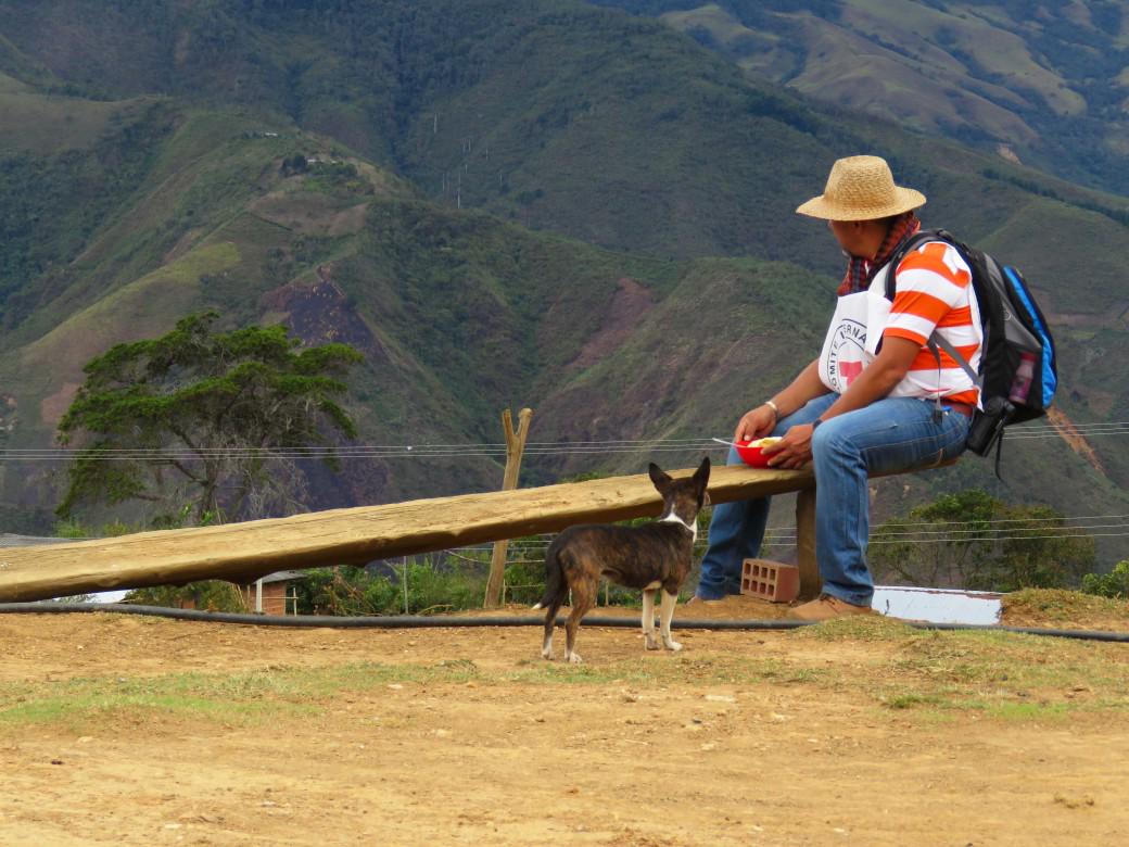 CICR_es's tweet photo. #Colombia: con huertas ancestrales indígenas afrontan guerra http://t.co/0E2JuqIFNt #DíaMundialAlimentación #WDF2015 http://t.co/qF5oNuZJQ7