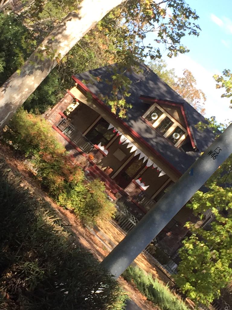 TheBloodtypes's tweet photo. Chico stepping up the Halloween game. #caliminitour #Halloween http://t.co/GpdUNlpksi