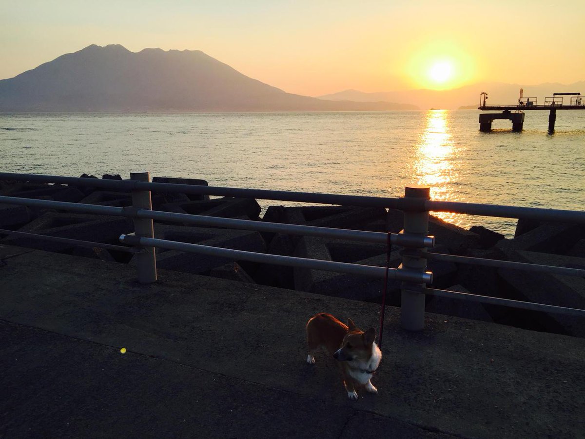 repair_e's tweet photo. 10月17日 今朝の桜島。
朝日がキレイです…
今日も頑張りましょー！ http://t.co/5wH6BCFgmv