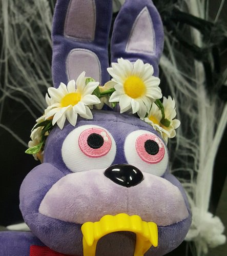 sanshee bonnie