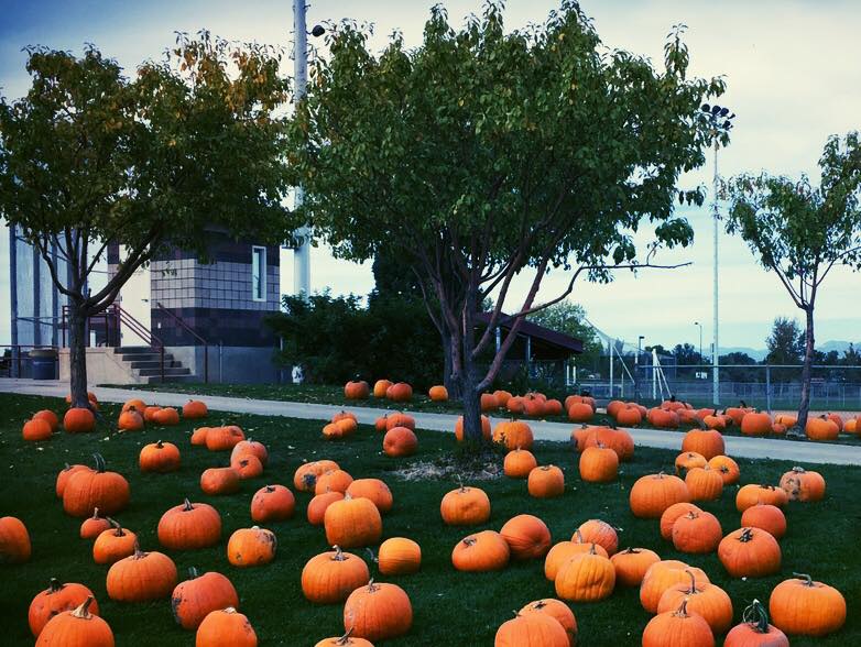 We're getting ready for TOMORROW NIGHT... Pumpkins At Dark! Canyon View Park 6pm-9pm. Fun, treats, games &amp; more!