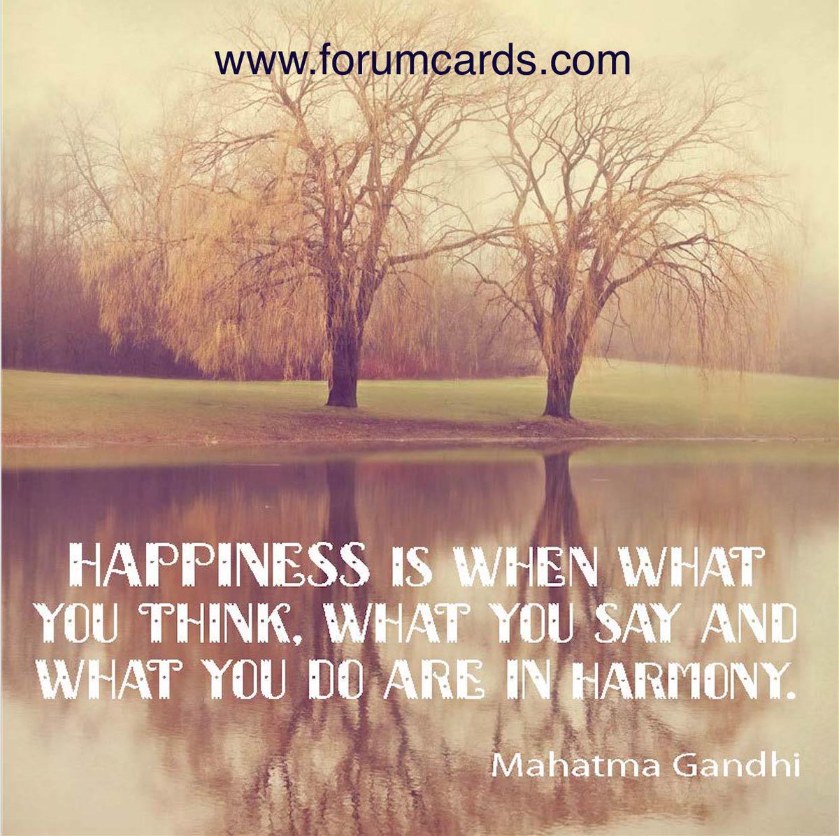 Forumcards's tweet photo. A great #Inspirationalquotes from #Ghandi on #Happiness & #Authenticity.
#Harmony #Forumcards http://t.co/sMWwlCwm8V