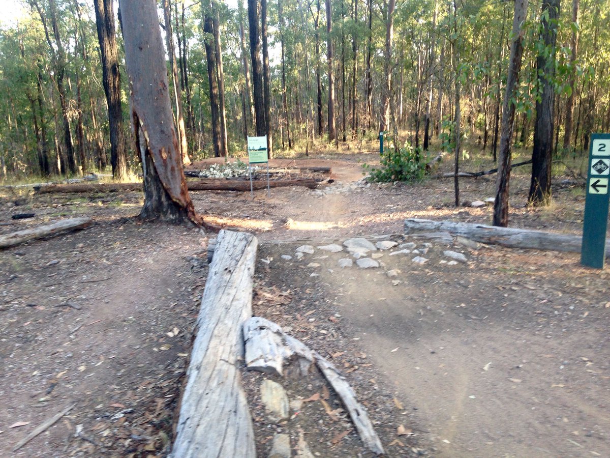 bunya mountain bike tracks