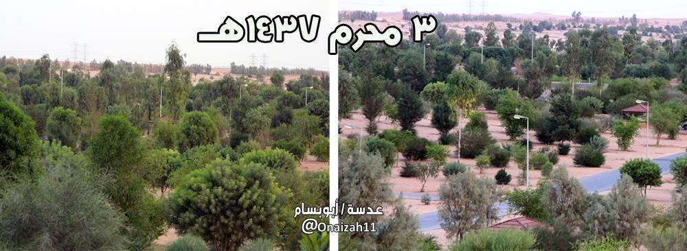Alsh3bnews's tweet photo. بـ29/11/1430 تم زرع 7000شتلة وهي أول لبِنات منتزه #عنيزة الوطني واليوم تم  جني ثمارها وأصبحت بهذاالشكل.
شاهدالصور. http://t.co/Os0GfU5PkI