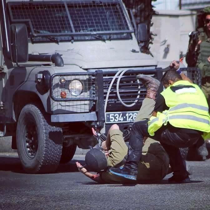 M1900Ali's tweet photo. قل للحياة أن عزمت وداعا....نصف الشجاعة أن تموت شجاعا

عش مثلما ولدتك أمك باسلا....إن  الحرائر لايلدن ضباعا. ... http://t.co/pFd3pNS0Pv