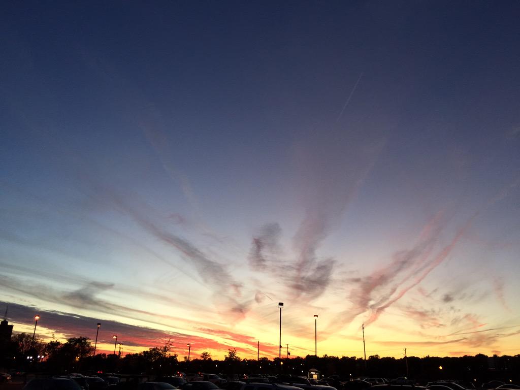 videofred tweet picture