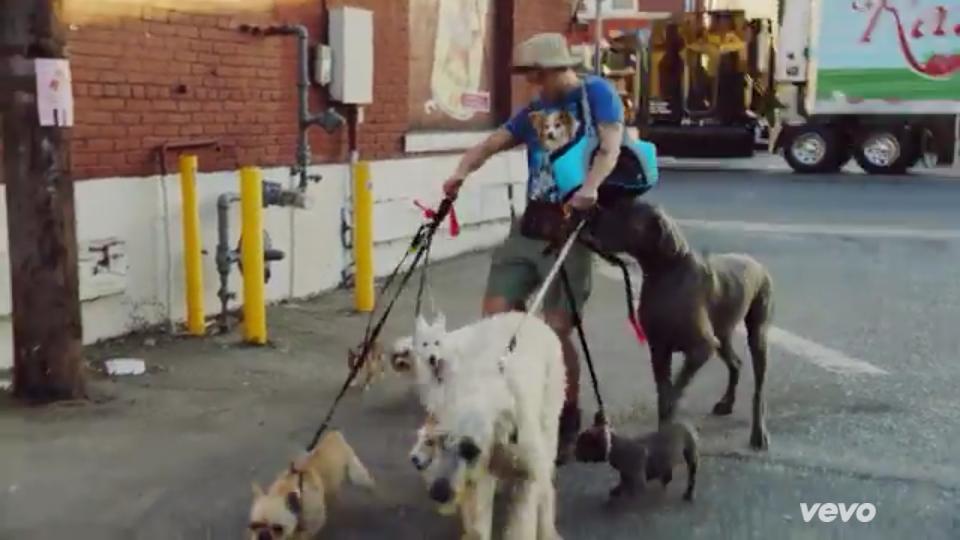 say_cookiee's tweet photo. Calum is actually enjoying this job #HeyEverybodyMusicVideo http://t.co/PCPDDjDdw0