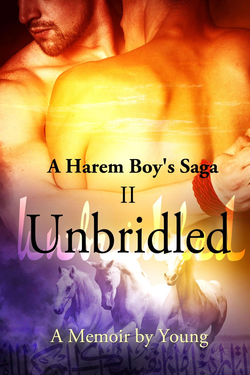 YoungFoong8's tweet photo. #GLBTT R part of life, fiction & #NONFICTION should reflect that. Read UNBRIDLED★http://t.co/B5qBpACKYa 2 find out http://t.co/0xq4fakcvp