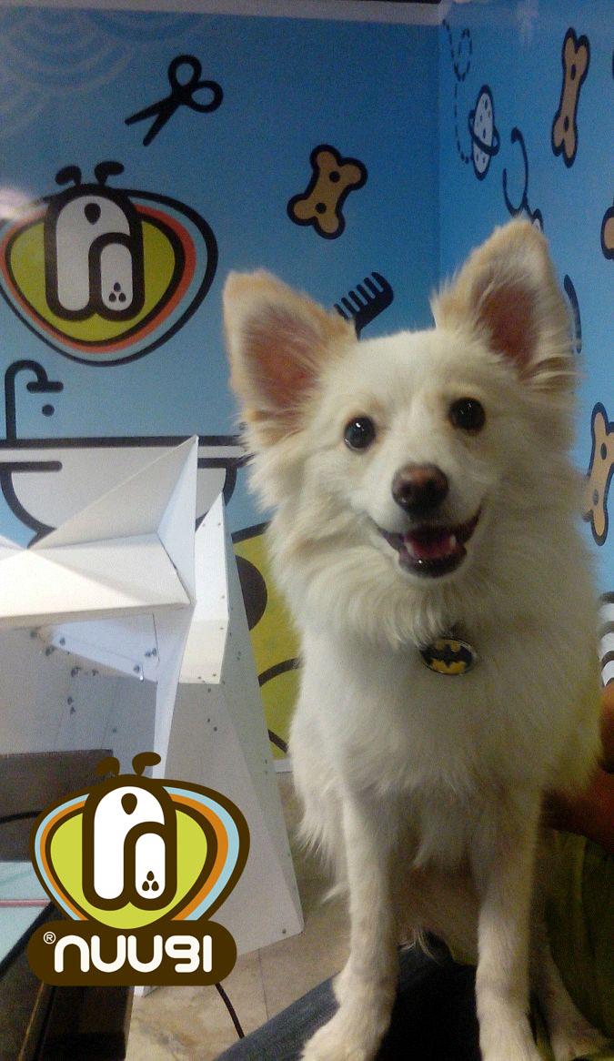 Nuugi's tweet photo. el que me cuida y siempre esta ahí! mi #superheroe favorito!! #Nuugi #sintinopuedovivir http://t.co/wt58f7M1CR
