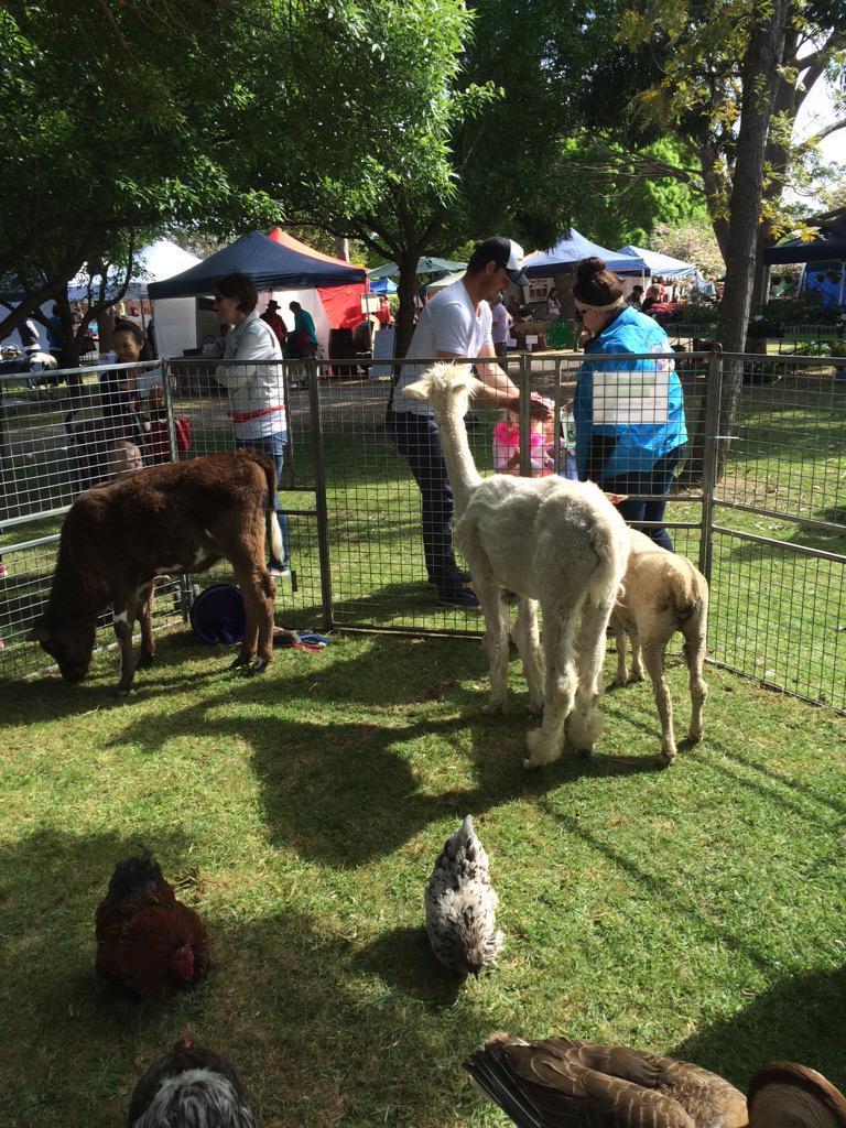 What a beautiful day! #markets #music #discoverdunkeld