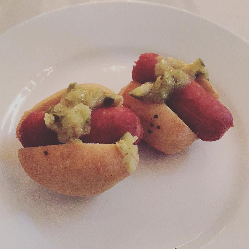 22ndandPhilly's tweet image. Teeny tiny dogs. #helphopelive