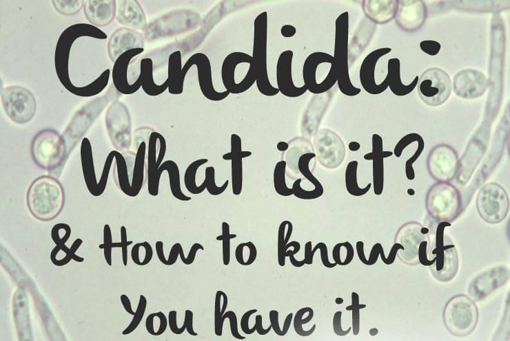 CandidaProtocol's tweet image. Please Read Full Blog here: goo.gl/Wzx6K5