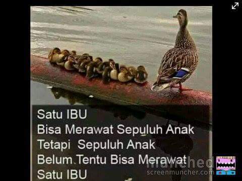 bhuleechieimoot's tweet photo. http://t.co/QfnNkgZCfb