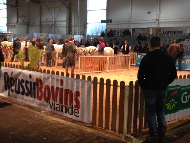 Au salon #AGRIMAX à #Metz les concours ont bien lieu...