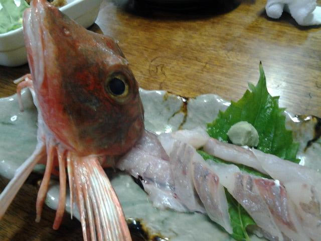 Kent Op Twitter あ あ 足がある ロ ホウボウ 竹麦魚 Http T Co Tbjy1dqhzm