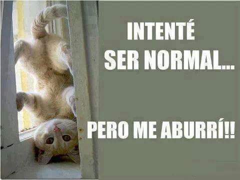 IruneFernandez's tweet photo. http://t.co/WLhPnP9ElM