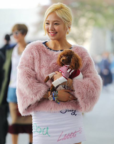 [PIC][16-10-2015]HyoYeon tham dự "Hera Seoul Fashion Week 2016SS Fleama Donna Collection" vào sáng nay CRgDMiyUcAAyjgX