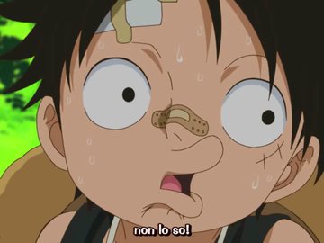 ワンピース ルフィや登場人物の年齢は 主要キャラを一覧で紹介 2ページ目 Selvy