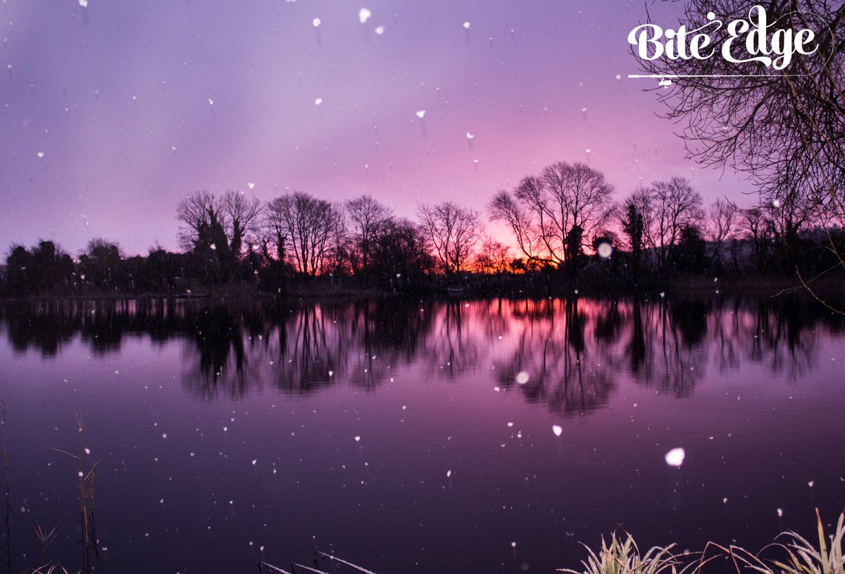 Looking for team members for a range of bait we have got coming out soon if you are interested DM us please retweet