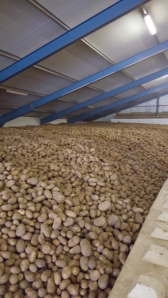 LarsKaim's tweet image. Rooien/drogen/exporteren #franzenlandbouw @AgriFoodTrade