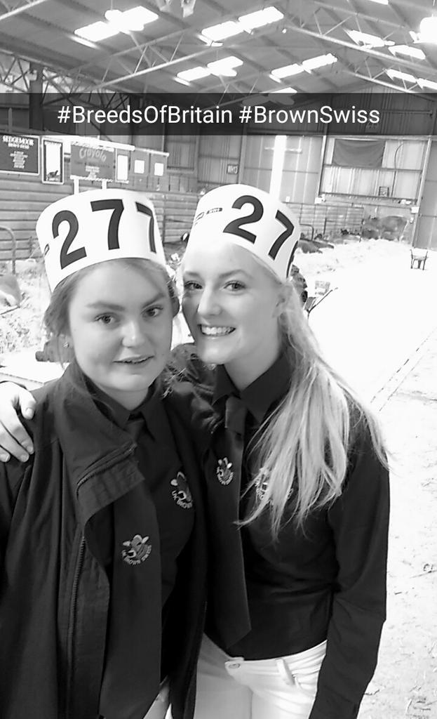 Meekychlo's tweet image. #BrownSwiss #BreedsOfBritain #Lochead