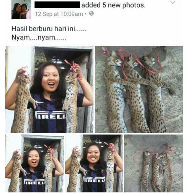 #info | x.com/infojogja/stat… ,