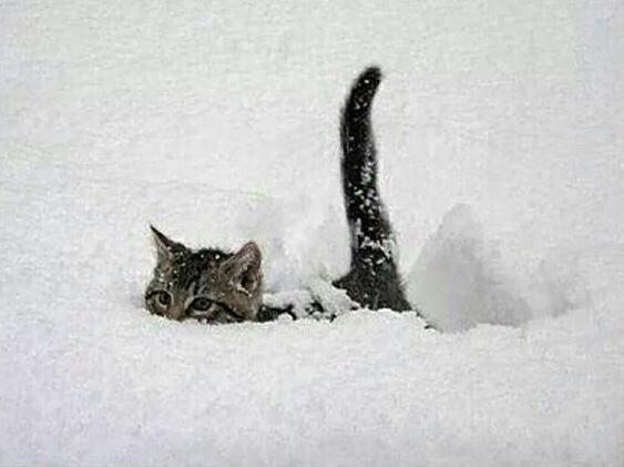 Alextrxm's tweet photo. moi essayant d'avancer dans la vie http://t.co/rOuyDPO3V1