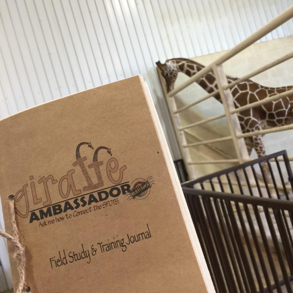 RWeThereYetMom's tweet photo. Coming soon! Kids can meet Buddy &amp; learn all about giraffes at the Natural Bridge Wildlife Ranch! #NBWR #GiraffeFun http://t.co/spx6seJS5P