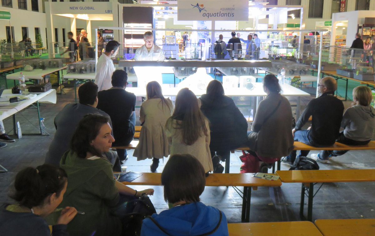 iberzoo's tweet photo. El jurado del concurso de #chinchillas expone las razones de su veredicto #iberzoo15 http://t.co/a1uP06ImNb